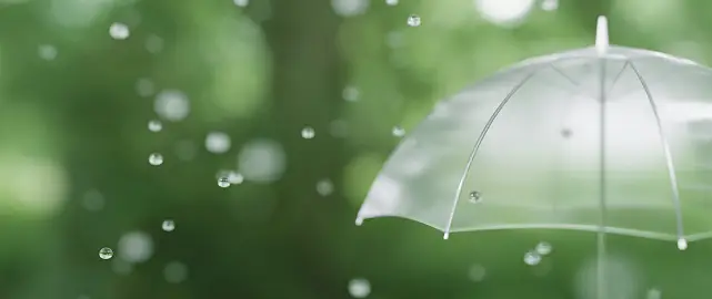 rain